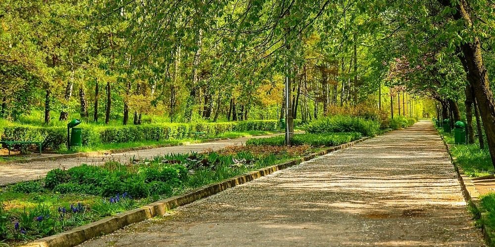 2015-01-19 10-15-16-346681 1000x